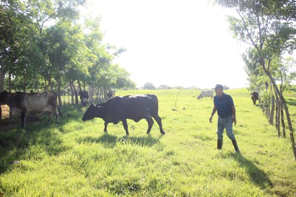 As El Niño fuels drought in Panama,&hellip;