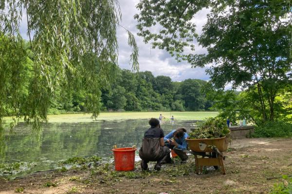 photo of New York’s Chronically Underfunded Parks Department Is Losing the Fight Against Invasive Species, Disrepair and… image