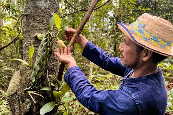 SE Asia’s smallholders struggling to&hellip;