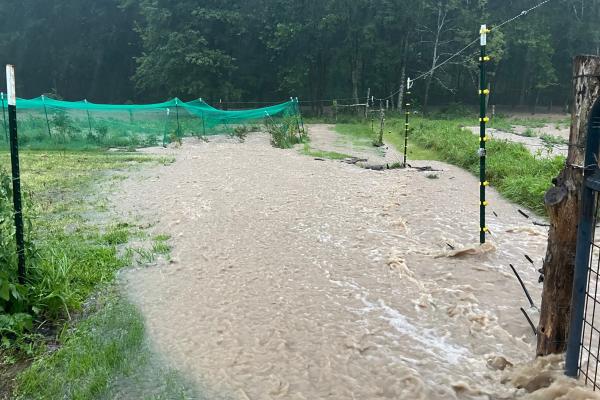 After a Drought Last Year, Ohio Farmers…