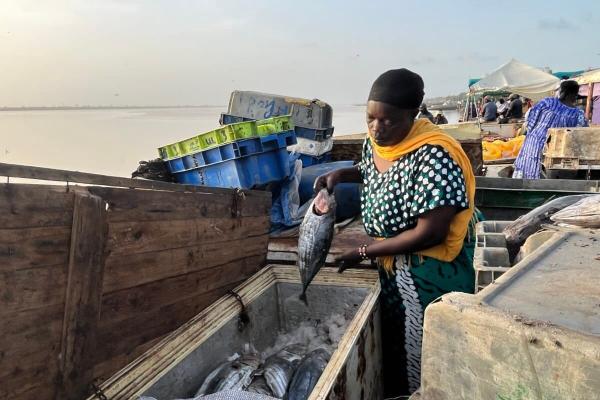 West Africa’s oceans get $68 million…