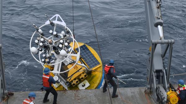 Outrage rescued an important ocean&hellip;