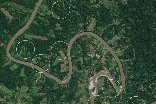 Mongabay Latam wins the Global Shining…