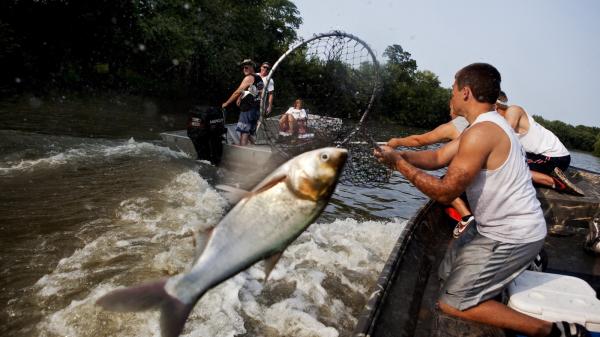 Illinois must protect the Great Lakes…