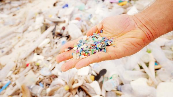 Higher marine microplastics may signal&hellip;