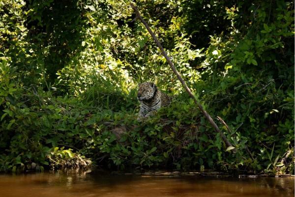 Overcrowding threatens sustainability of…