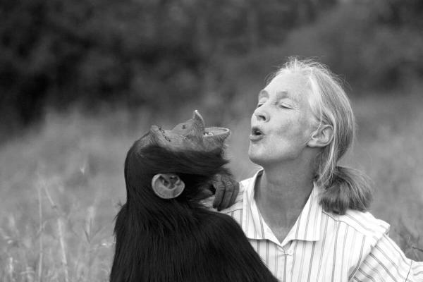 Jane Goodall (1934–2025):…