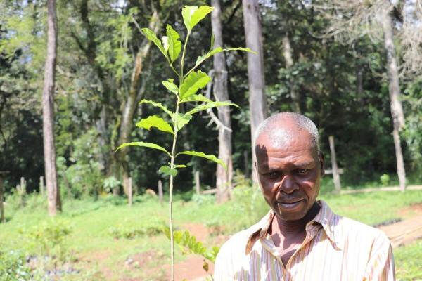 Kenya’s PELIS trades biodiversity for…