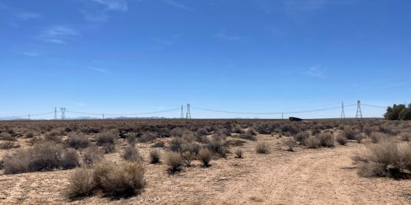 California bets on sodium-ion batteries&hellip;