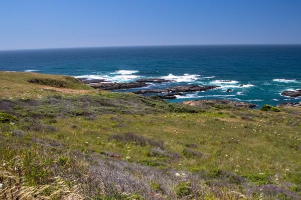 California Tribes receive beach and&hellip;