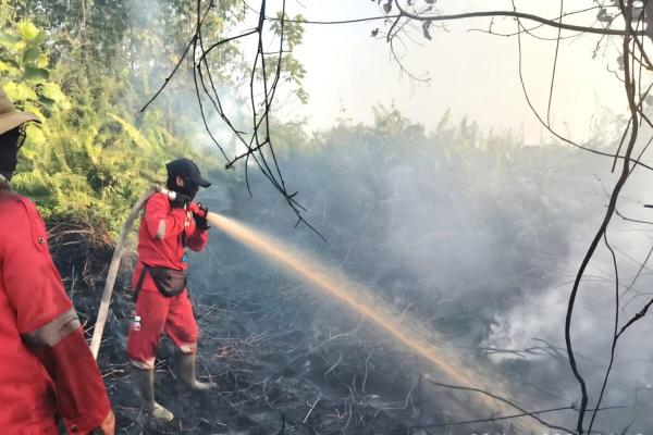 ‘Perpetuating stupidity’: Indonesia&hellip;