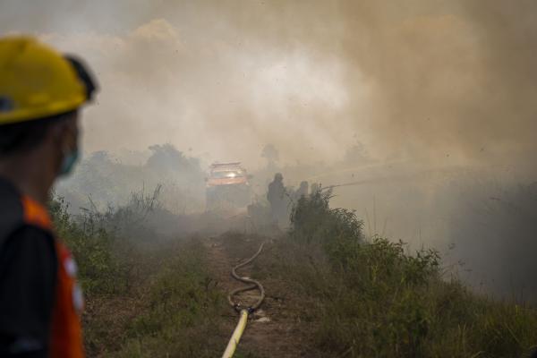 Flames reach edge of orangutan&hellip;