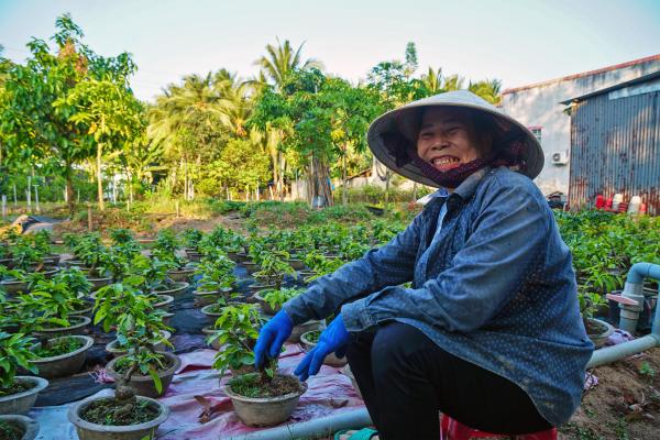 Saline intrusion in Mekong Delta leaves&hellip;