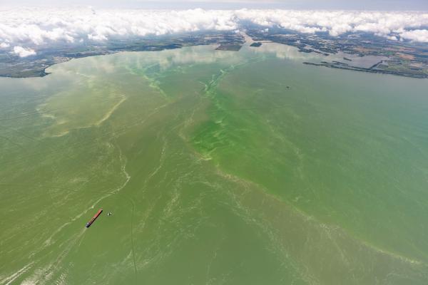 Efforts to Reduce Toxic Algae in Lake…