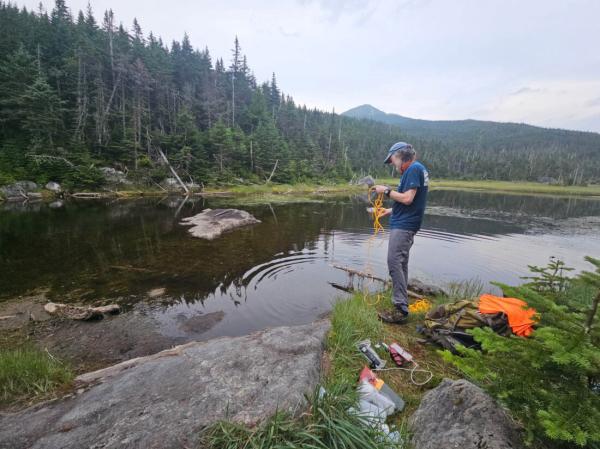 High microplastics levels discovered in…