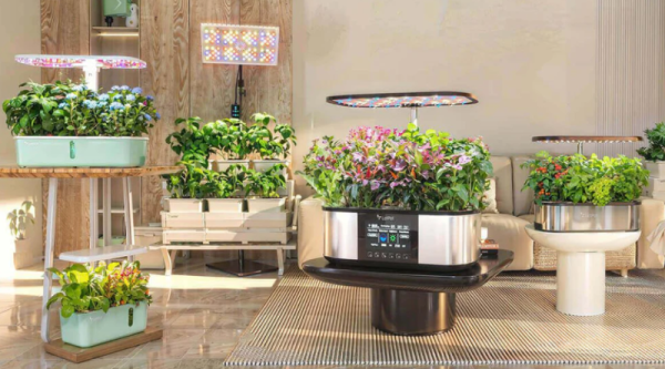 The Gift Of Growing Your Own Produce…