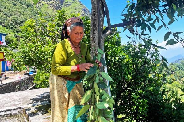 Sickles, sarees and smoke: Women on the&hellip;