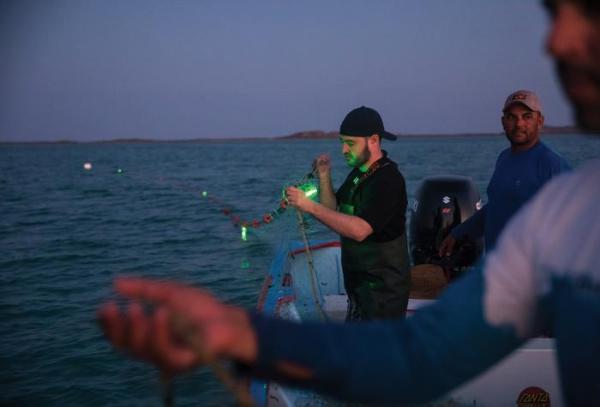 Solar-lit fishing nets cut sea turtle…