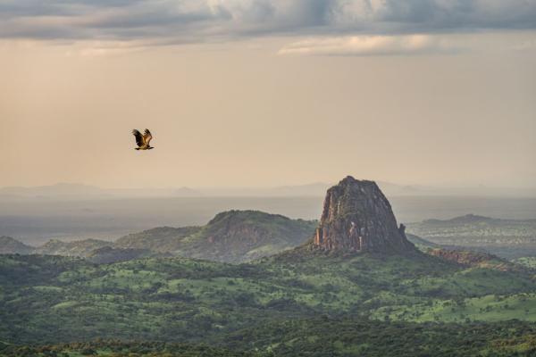 World Heritage status for South Sudan&hellip;
