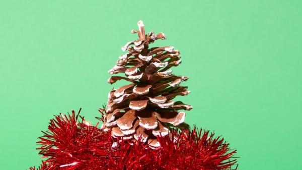 We asked plastics experts how they…