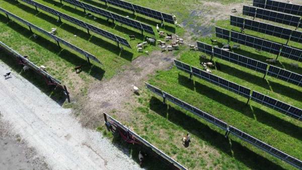 Do wind and solar farms tank home&hellip;