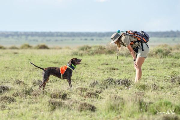 From small cats to pangolins: Detection&hellip;