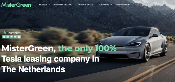 Tesla rental fleet that bought into Elon&hellip;