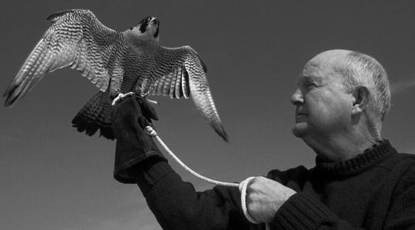 Mitchell Byrd, ornithologist who helped…