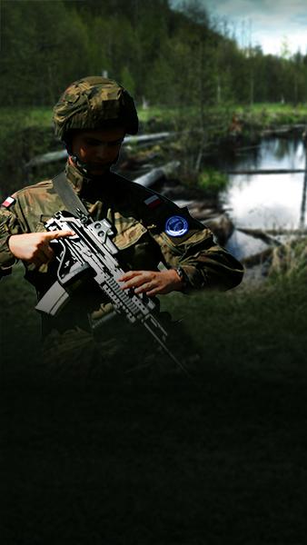 Can a swamp stop an army?