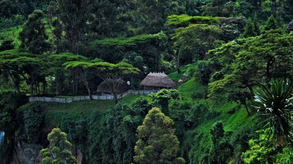 Elephants return to Mount Elgon side of&hellip;
