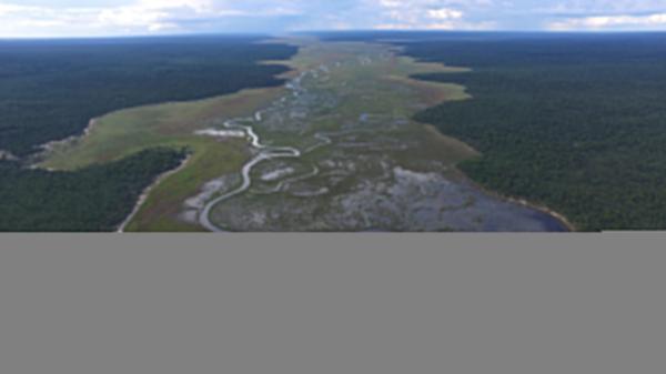 Angola’s peatlands highly underestimated, new study suggests