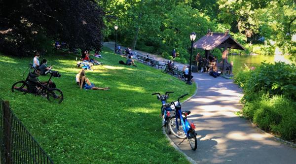 The 5 Most-Bikeable Big Cities in the…