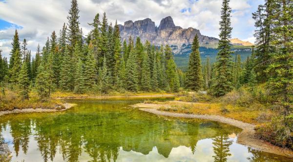 Sierra Club Statement on USDA&hellip;
