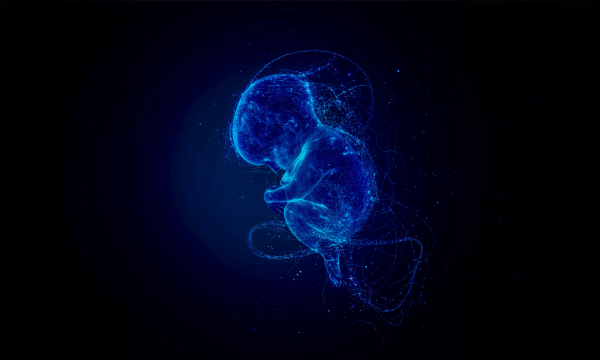 Babies are exposed to more forever&hellip;