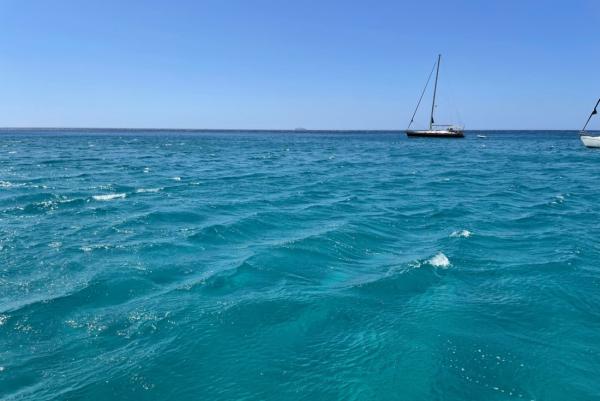 Ocean Protection Means Including…