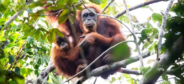 Climate-fueled landslides killed an…