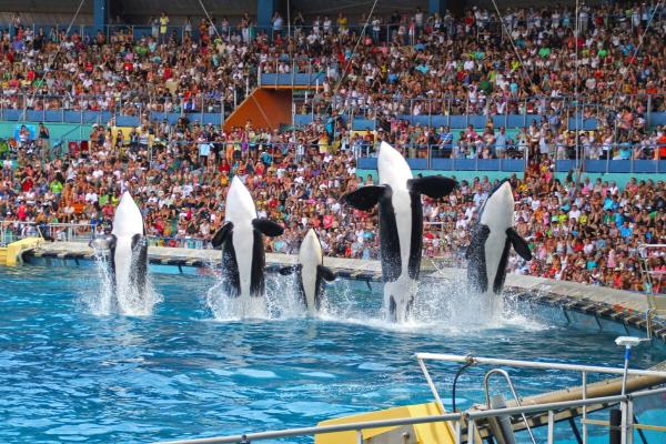 France to send its last captive orcas to&hellip;