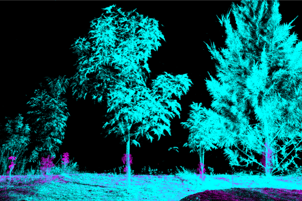 Laser scanning forests may boost carbon&hellip;