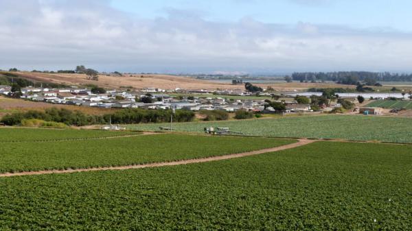 California Sanctions Stark Disparities…