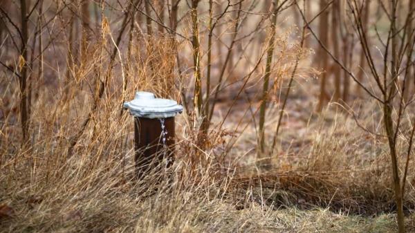 Maine is tightening limits on ‘forever&hellip;