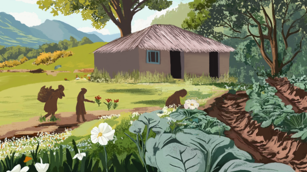 Putumayo’s women guardians defend land…