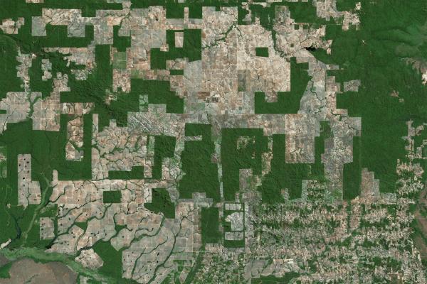 photo of In the Brazilian Amazon, decentralization can be a double-edged sword image