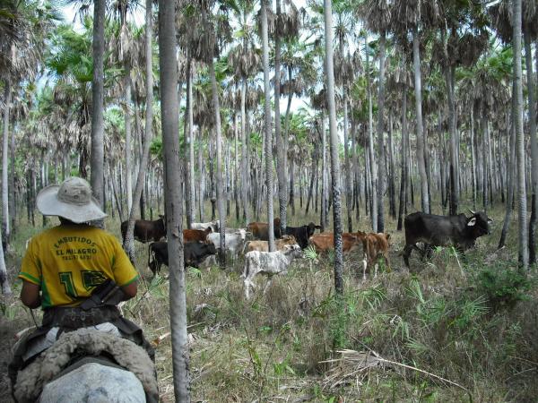 Paraguay meets UN deadline for improving&hellip;