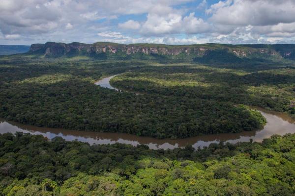 Deforestation & illegal roads advancing…
