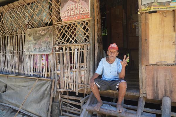Can REDD+ deliver for Philippines’&hellip;