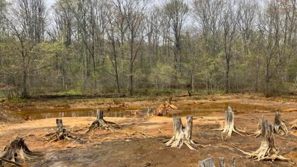 Toxic Pennsylvania mineland is about to…