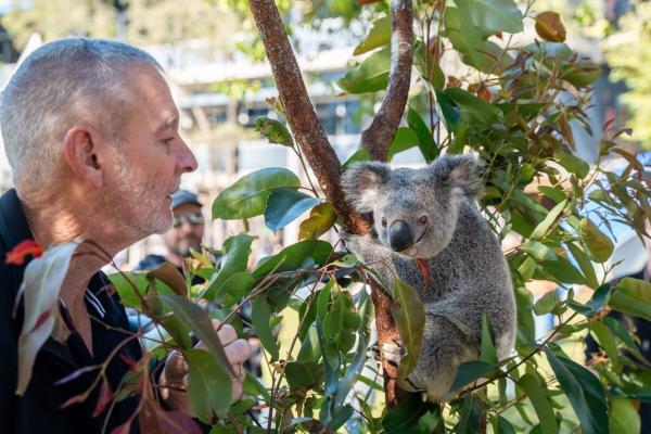 Australia approves the world’s first…