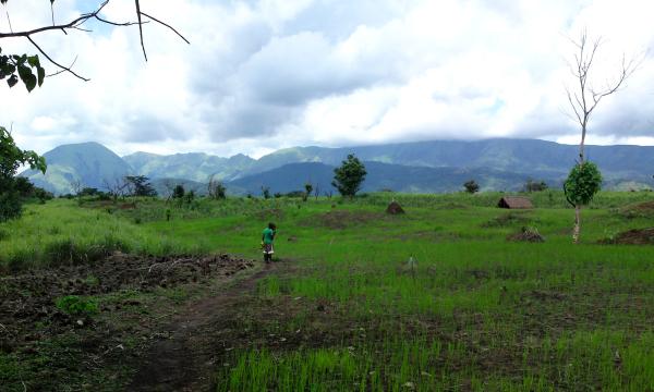 In the Nimba Mountains, a film examines&hellip;