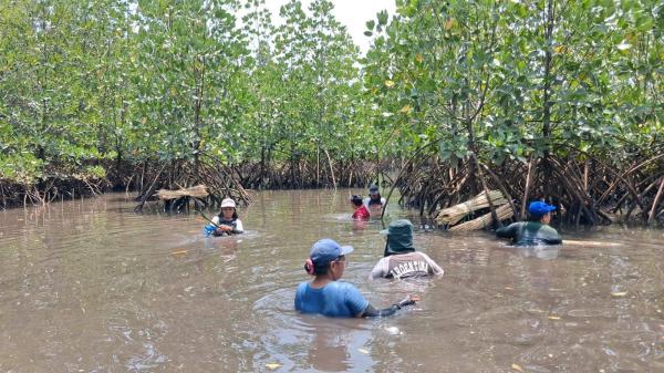 Indonesian women cash in on mangrove&hellip;