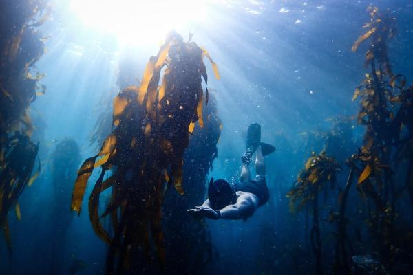 World Oceans Day: Marine protected areas…